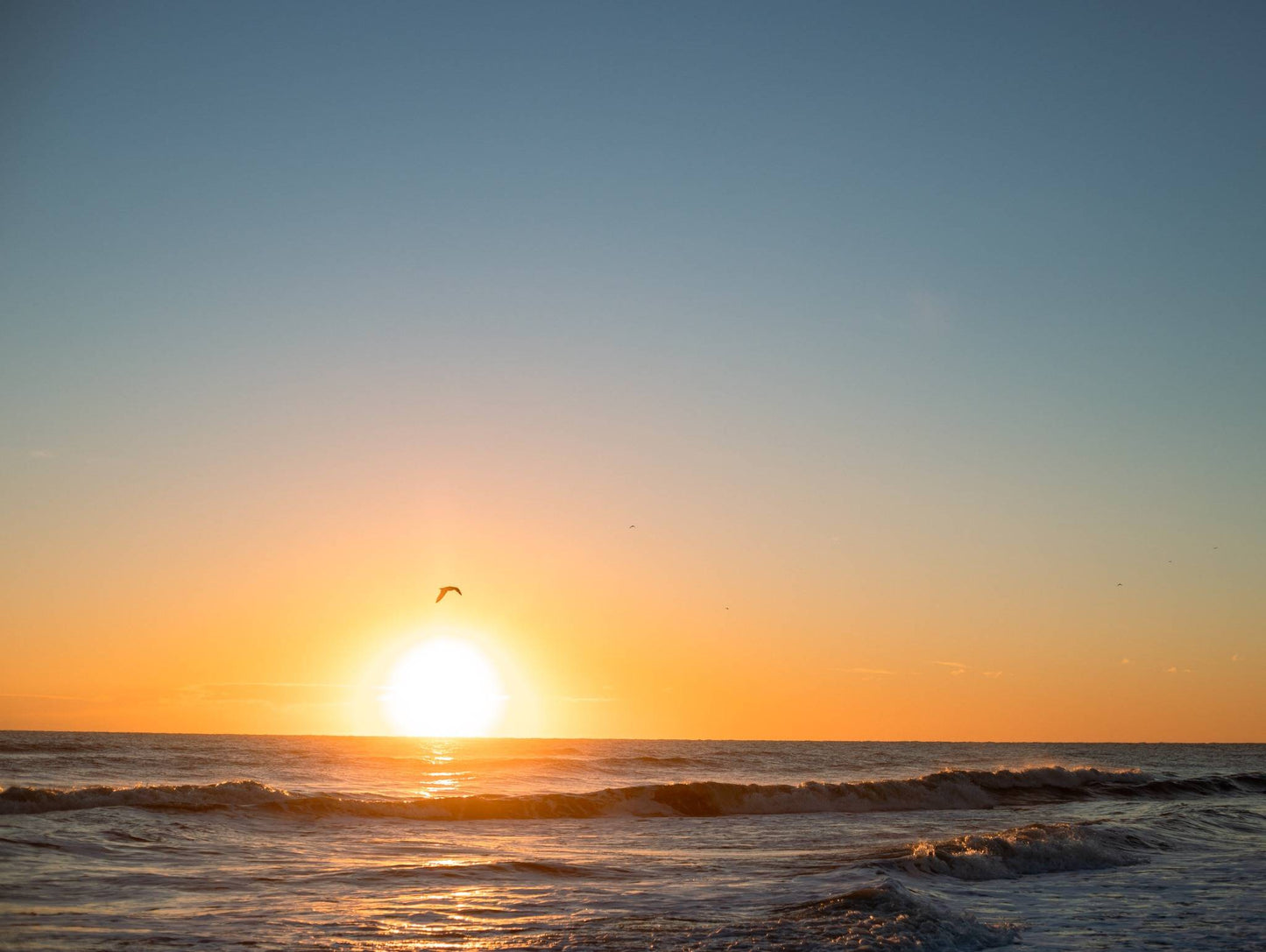 Birdy Sunrise — The Hammock Beach Photography Print