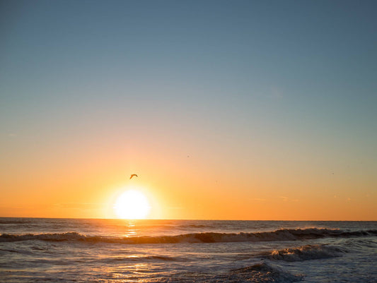 Birdy Sunrise — The Hammock Beach Photography Print