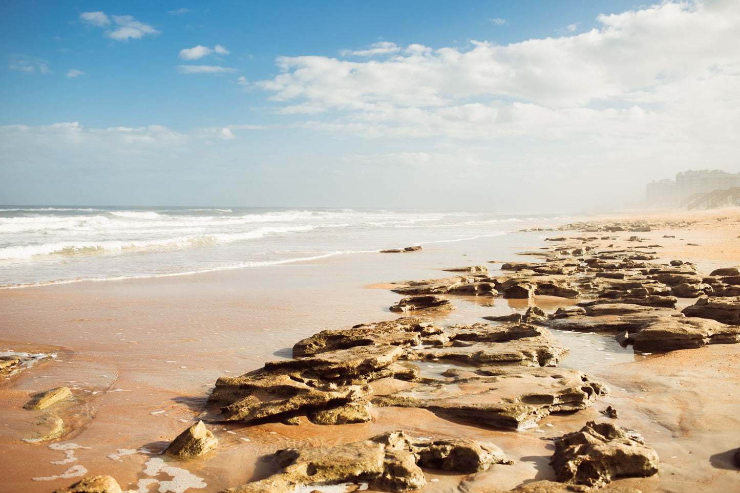 Coquina Landscape — Marineland Beach Photography Print