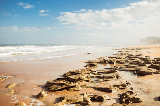 Coquina Landscape — Marineland Beach Photography Print