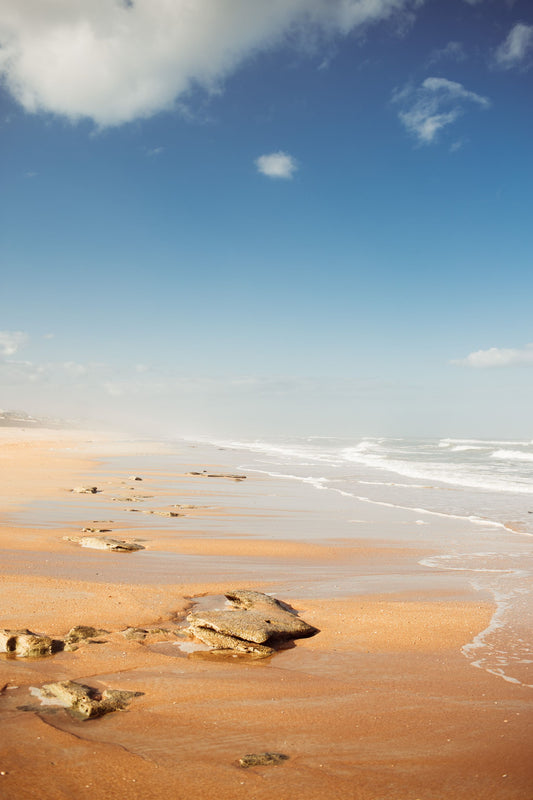 Coquina Shore — Marineland Beach Photography Print