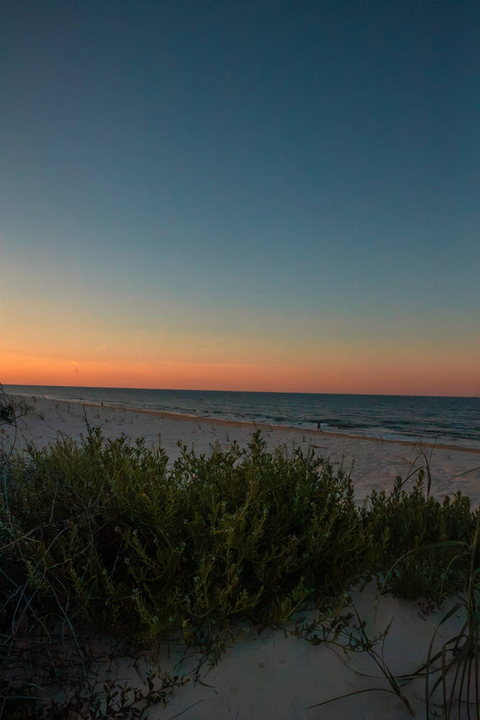 Grainy Dusk — The Hammock Beach Photography Print