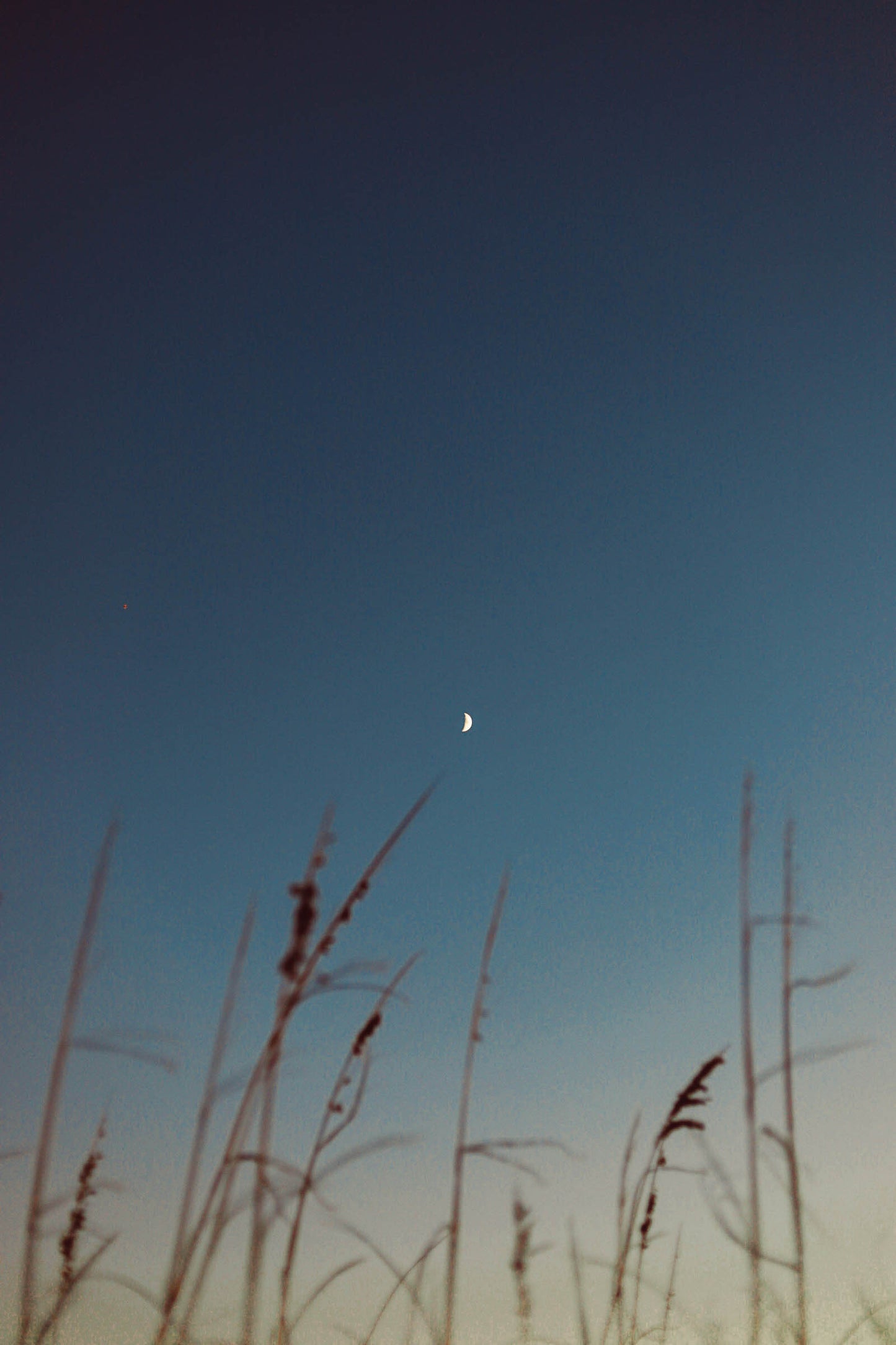 Twilight — The Hammock Beach Photography Print