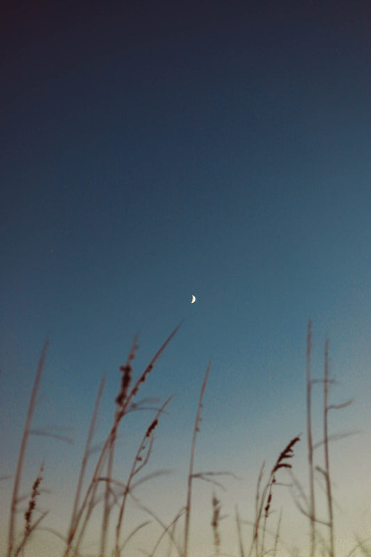 Twilight — The Hammock Beach Photography Print